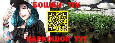 дживик Гатчина