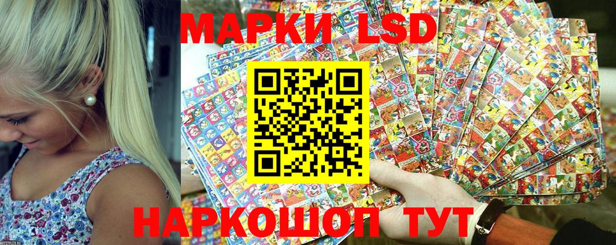 хочу   Марки N-bome 1500мкг  Елизово  Марки NBOMe  Вход с VPN  Марки N-bome 1500мкг 