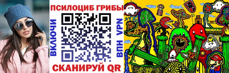 Псилоцибиновые грибы GOLDEN TEACHER где купить Елизово