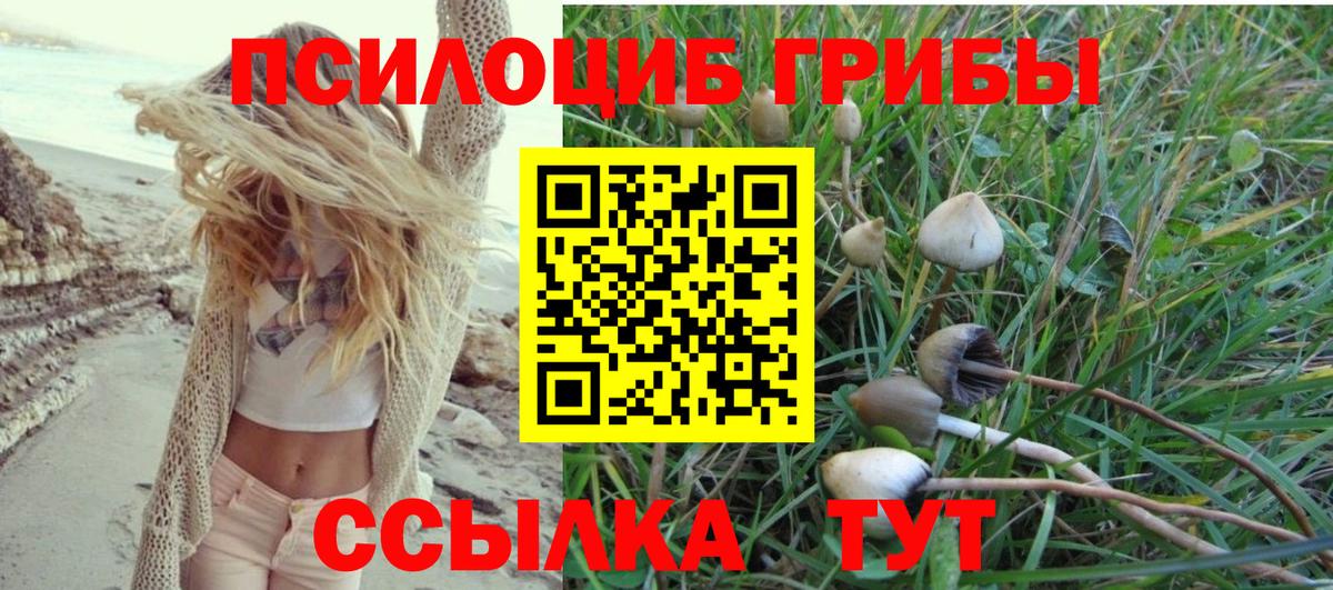Псилоцибиновые грибы мухоморы  цена наркотик  Елизово  Вход с VPN 