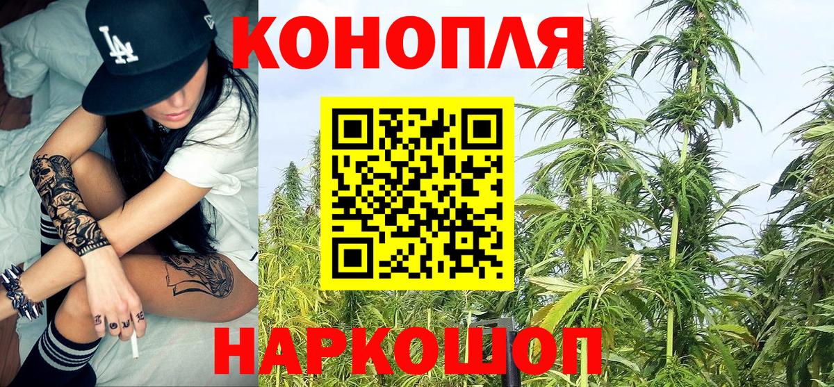 Конопля ГИДРОПОН  Канабис сатива  Елизово  Вход с VPN  Каннабис Amnesia  Канабис ГИДРОПОН 